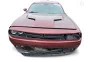 Dodge Challenger  R/T